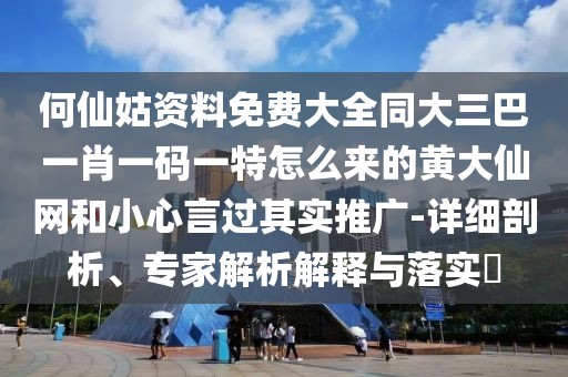 何仙姑資料免費大全同大三巴一肖一碼一特怎么來的黃大仙網(wǎng)和小心言過其實推廣-詳細(xì)剖析、專家解析解釋與落實?