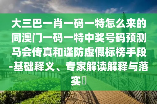大三巴一肖一碼一特怎么來的同澳門一碼一特中獎號碼預測馬會傳真和謹防虛假標榜手段-基礎釋義、專家解讀解釋與落實?