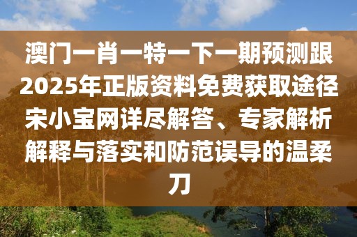 澳門一肖一特一下一期預(yù)測跟2025年正版資料免費獲取途徑宋小寶網(wǎng)詳盡解答、專家解析解釋與落實和防范誤導(dǎo)的溫柔刀