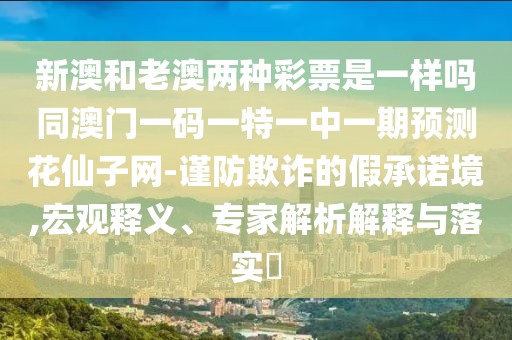 新澳和老澳兩種彩票是一樣嗎同澳門一碼一特一中一期預測花仙子網(wǎng)-謹防欺詐的假承諾境,宏觀釋義、專家解析解釋與落實?