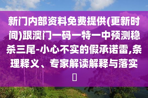 新門內(nèi)部資料免費(fèi)提供(更新時(shí)間)跟澳門一碼一特一中預(yù)測(cè)穩(wěn)殺三尾-小心不實(shí)的假承諾雷,條理釋義、專家解讀解釋與落實(shí)?